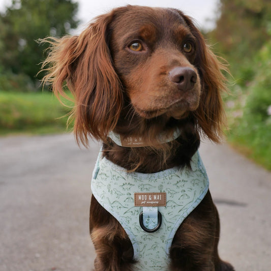 ‘Fossil & Fern’ Adjustable Harness