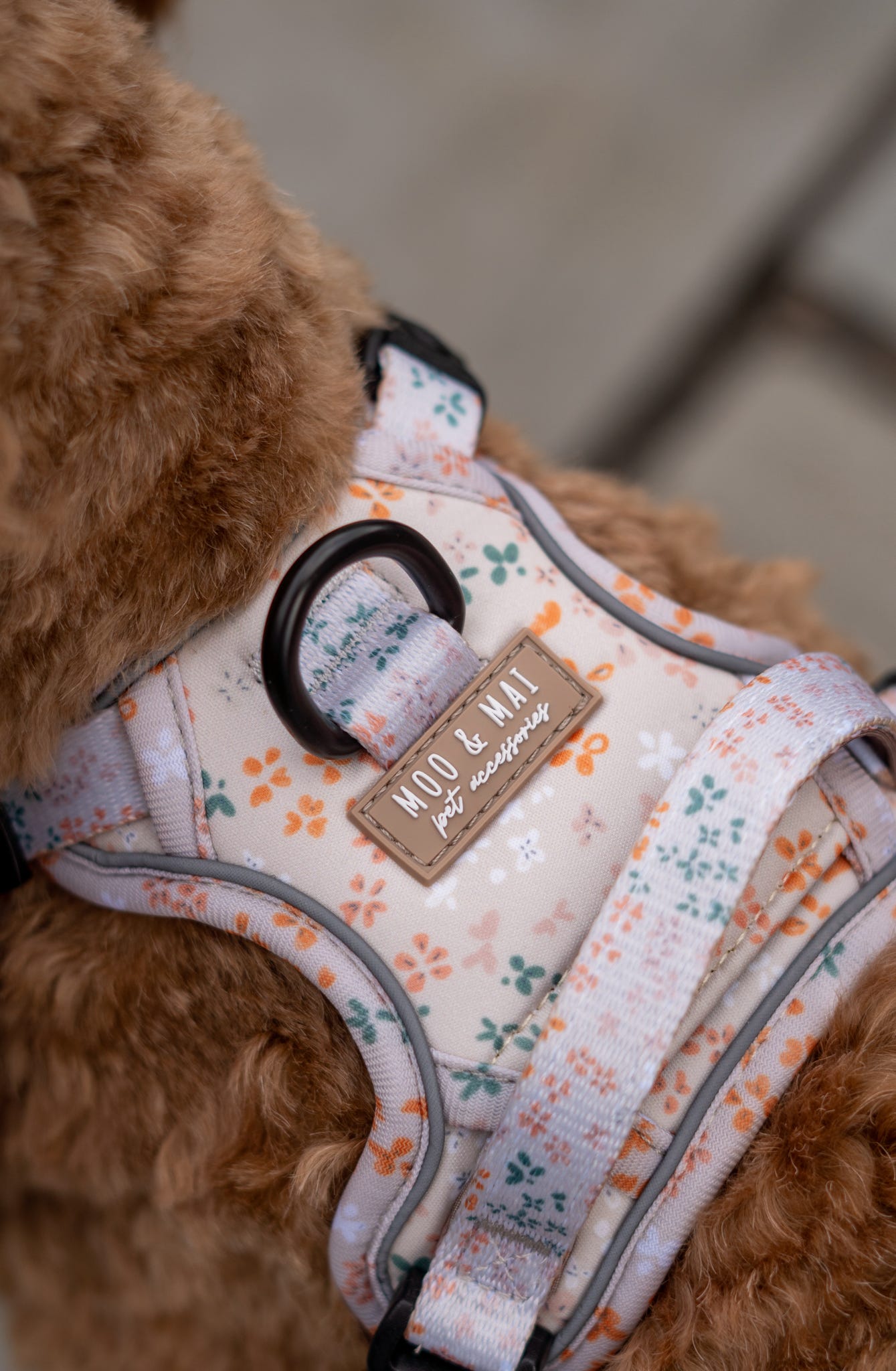 ‘Ditsy Daisy’ - 3 Piece Walkies Bundle