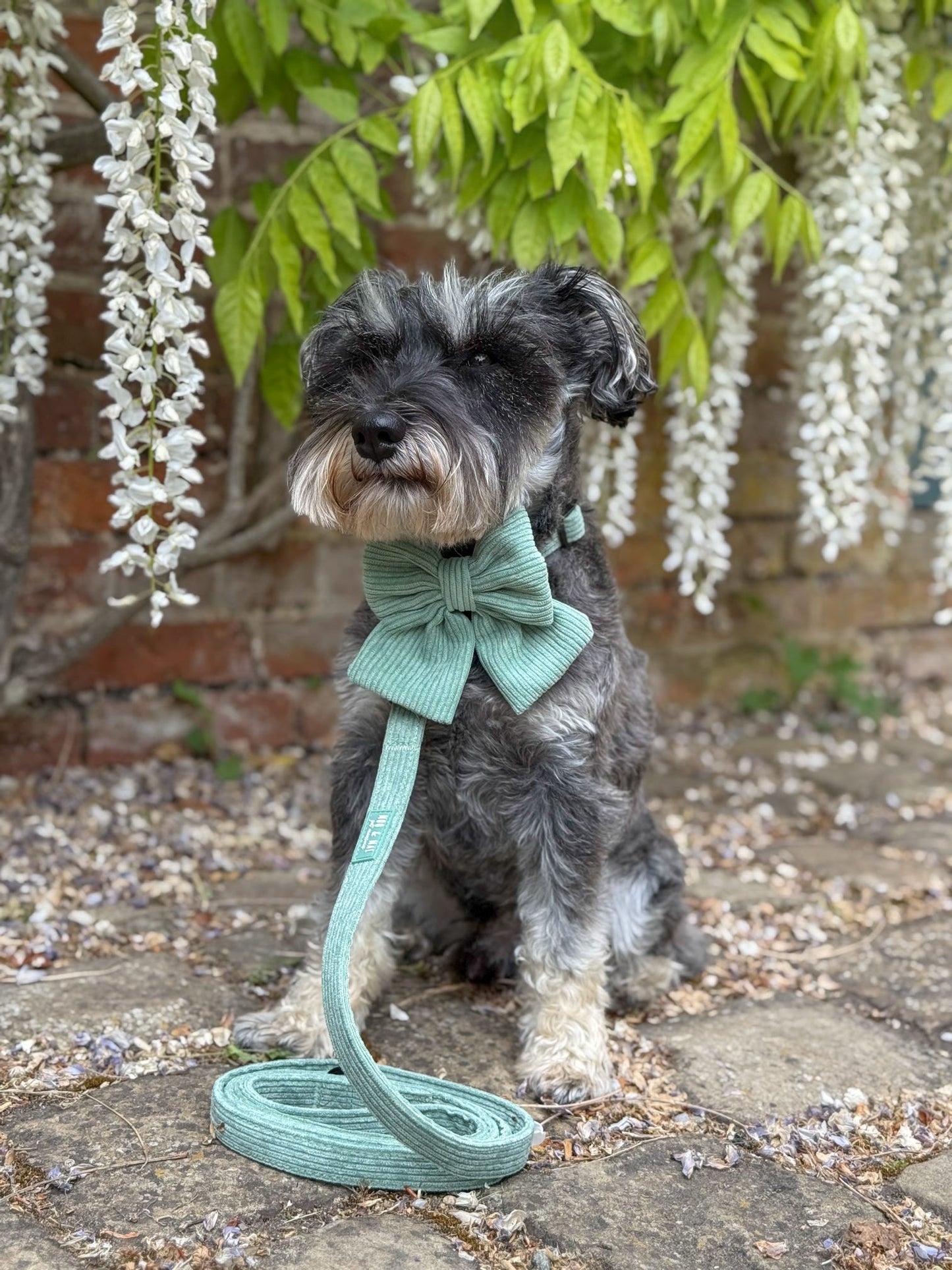 'Peppermint Tides' Sailor Bow