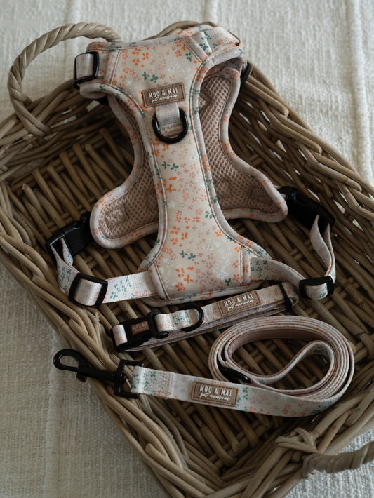 ‘Ditsy Daisy’ - 3 Piece Walkies Bundle