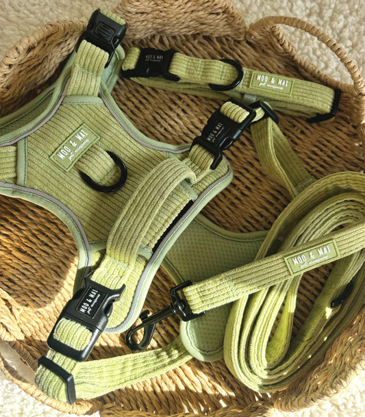 3 Piece ‘Pistachio Paws’ Walkies set - 3 Click addition
