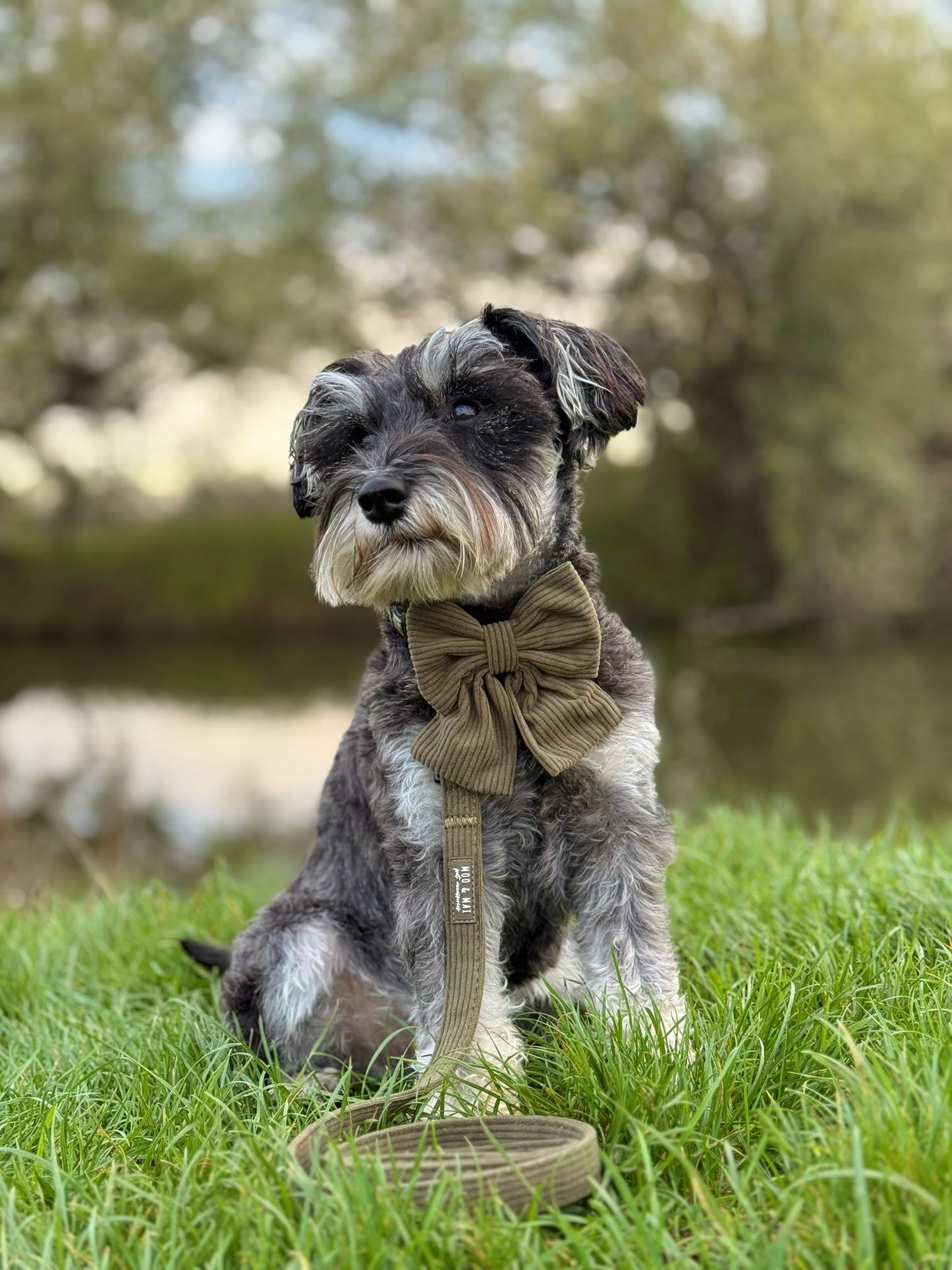 New ‘Olive Branch’ Sailor Bow