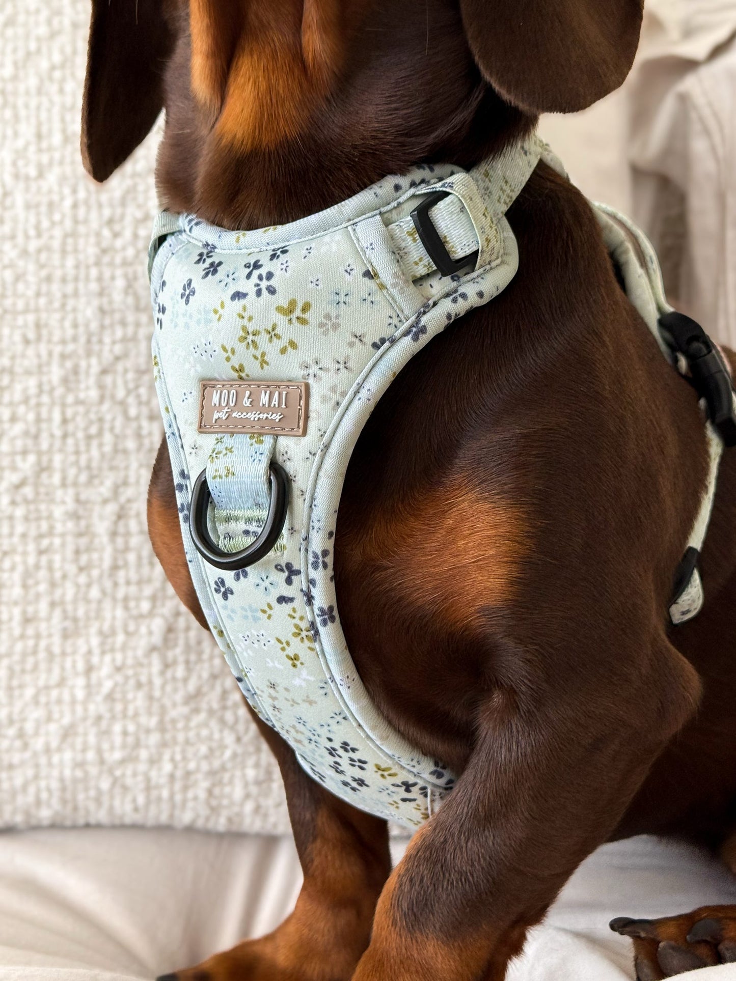 ‘Dusky Daisy’ - 3 Piece Walkies Bundle