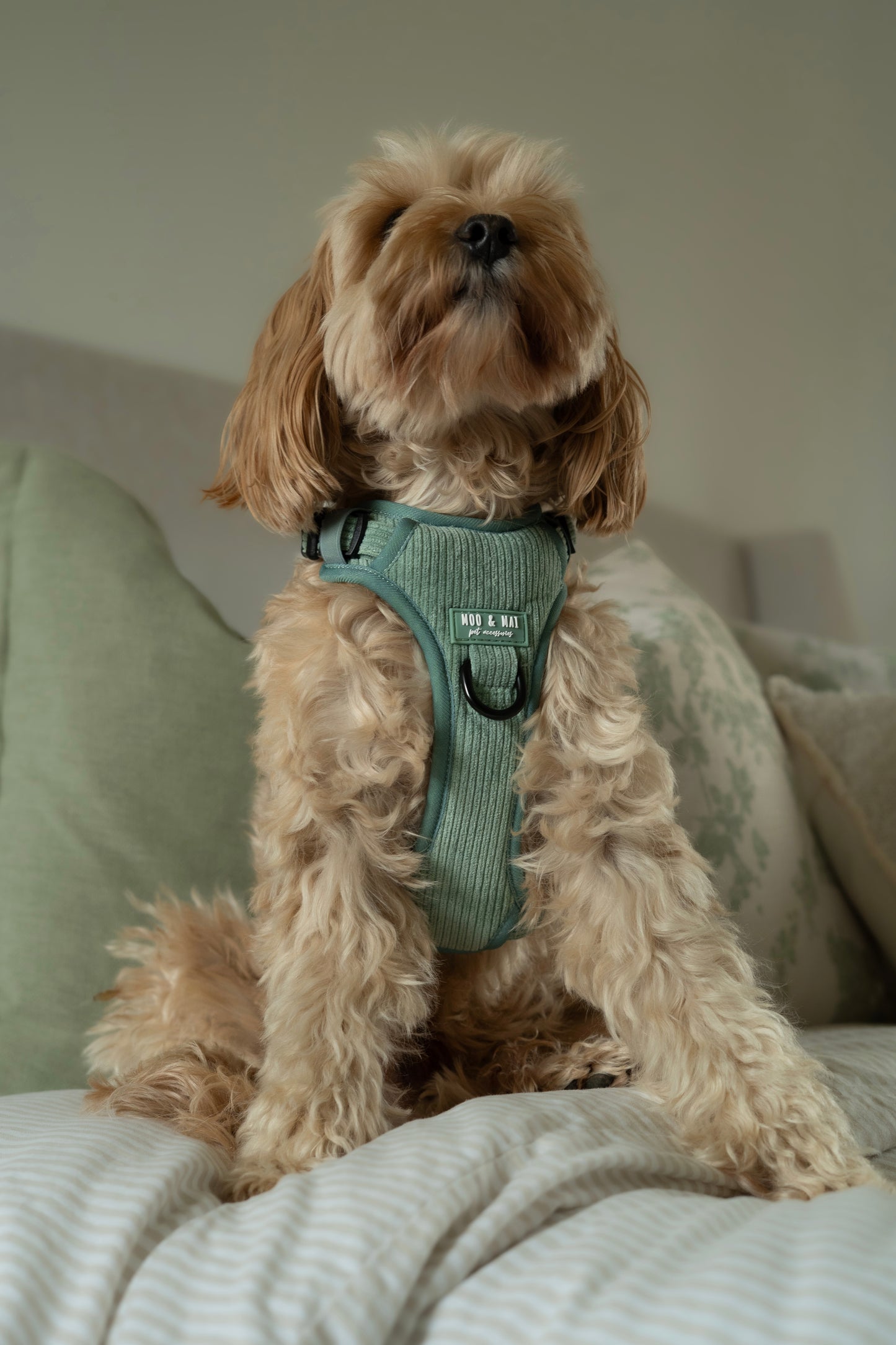 'Peppermint Tides' - 3 Piece Walkies Bundle