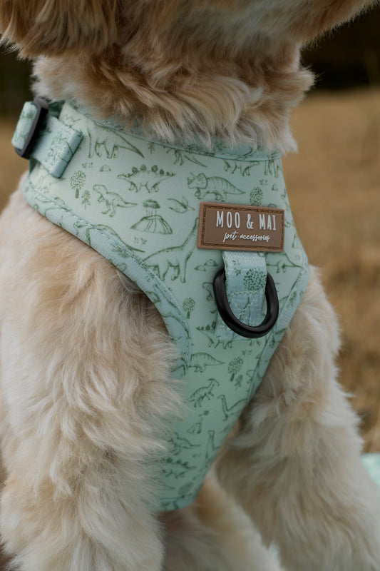 ‘Fossil & Fern’ Adjustable Harness