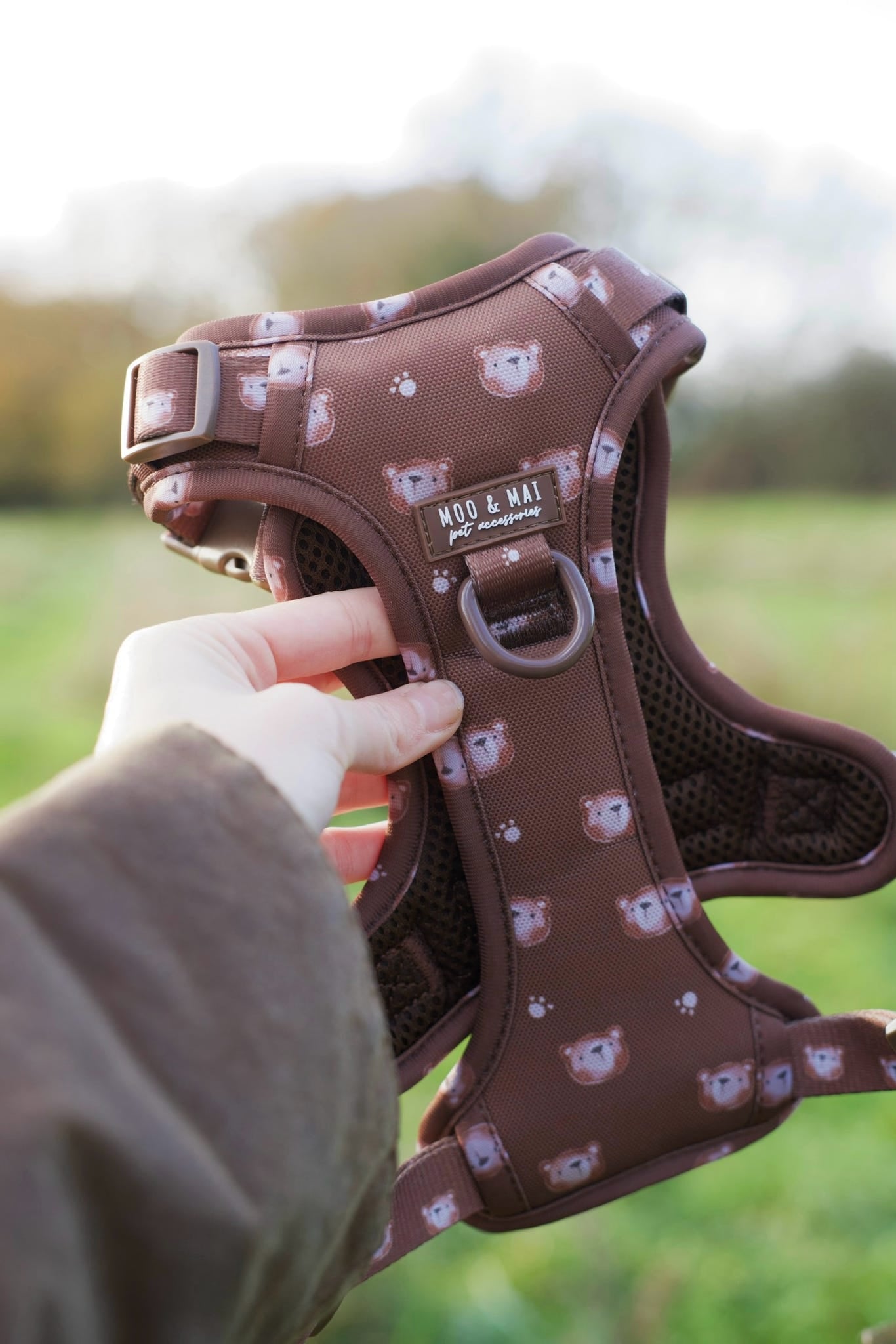 NEW ‘Beary Cute’ 3 Piece Essentials Walkies Bundle