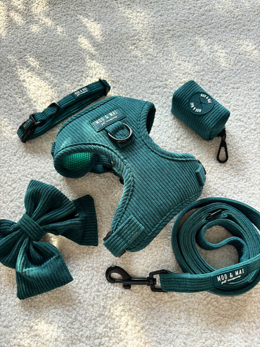 Midnight Moss - Full 5 Piece Walkies Bundle