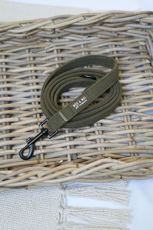 New ‘Olive Branch’ Lead