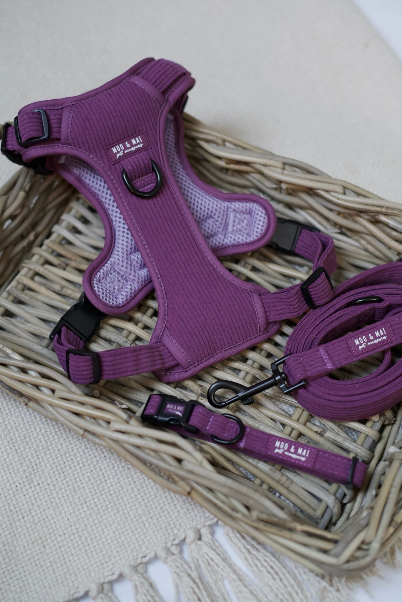 ‘Frosted Plum’ 3 Piece Essential Walkies Set