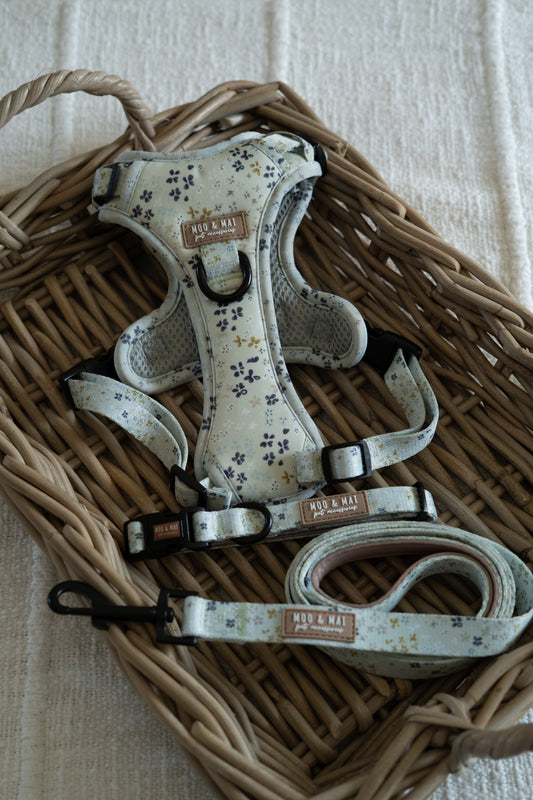 ‘Dusky Daisy’ - 3 Piece Walkies Bundle