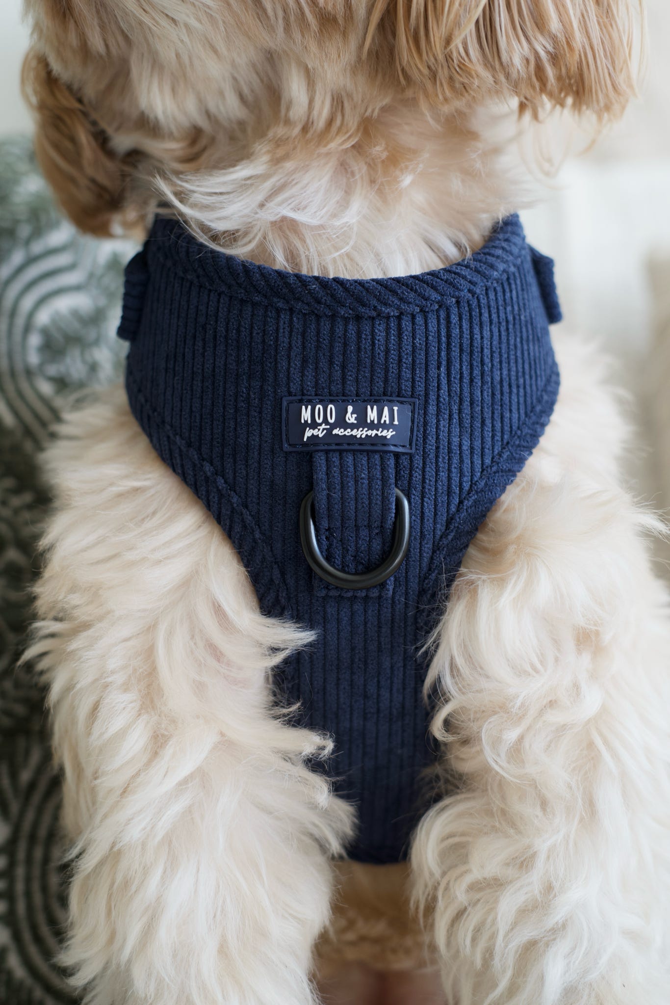 ‘Navy Noir’ Adjustable Harness