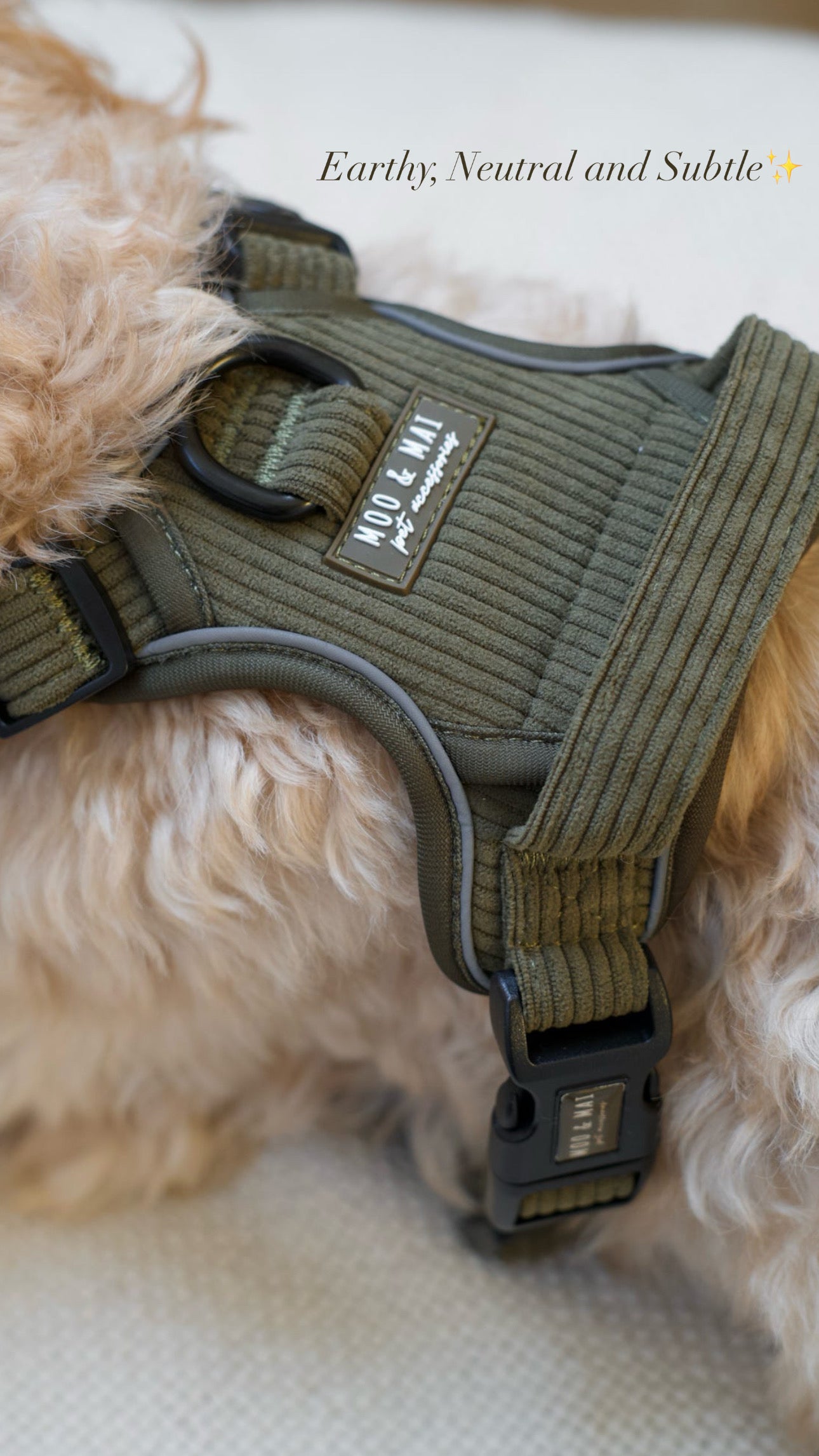 ‘Olive Branch’ 3 Piece Essentials Walkies Bundle