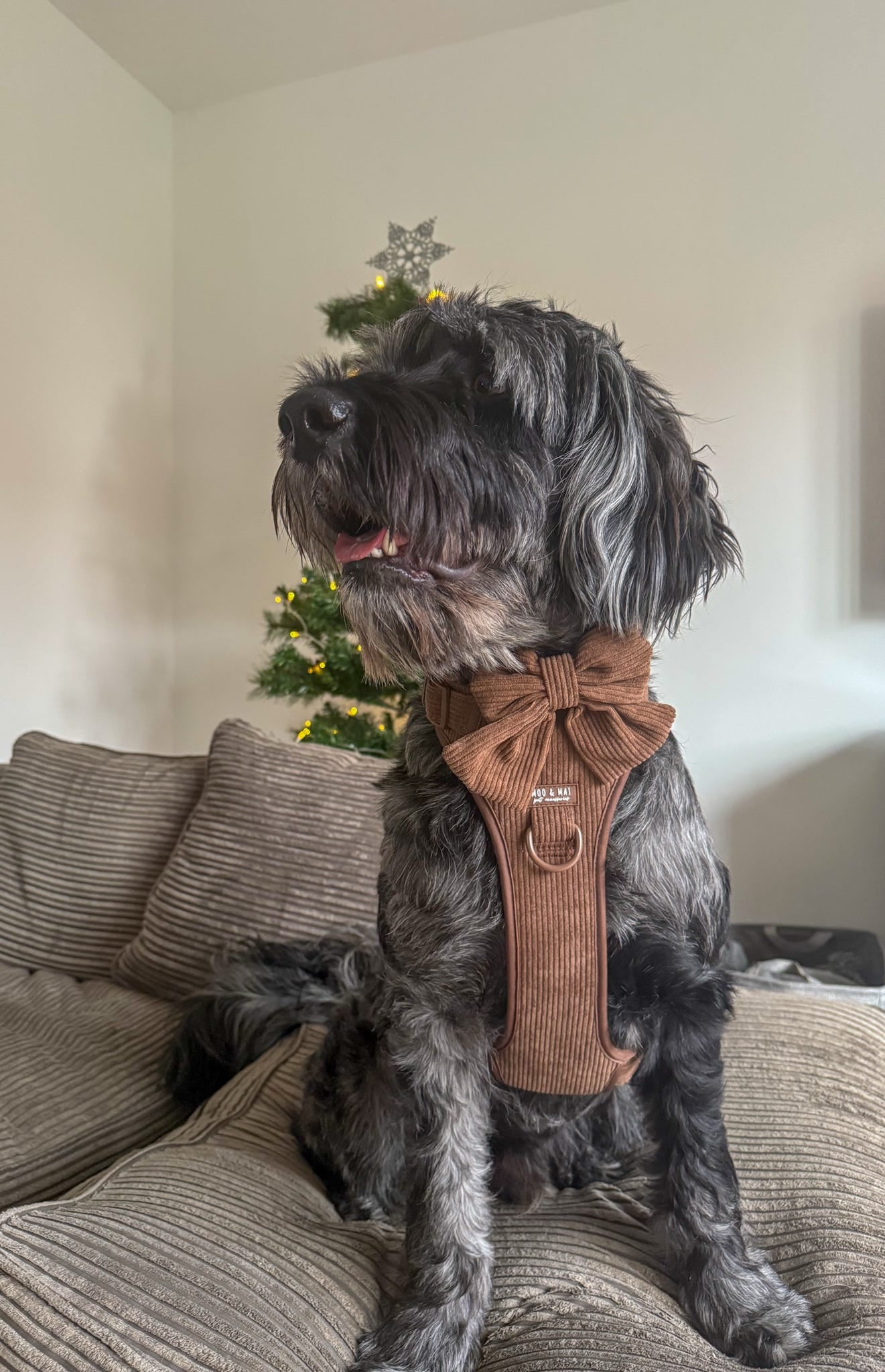 ‘Choc Chip’ Sailor Bow