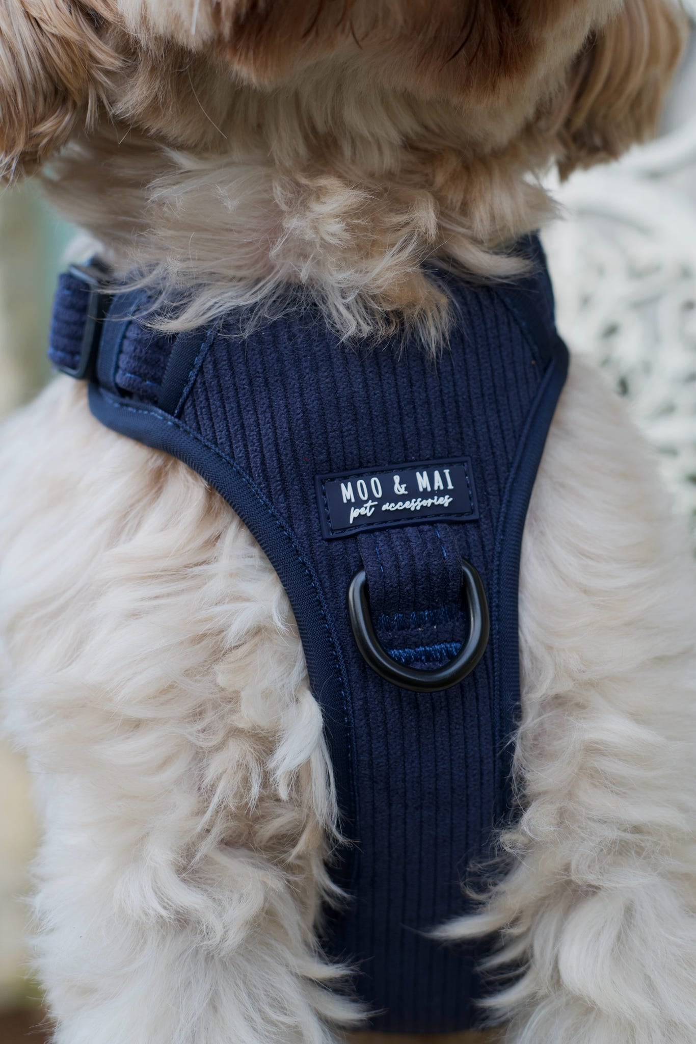 New ‘Navy Noir’ 3 Click Harness