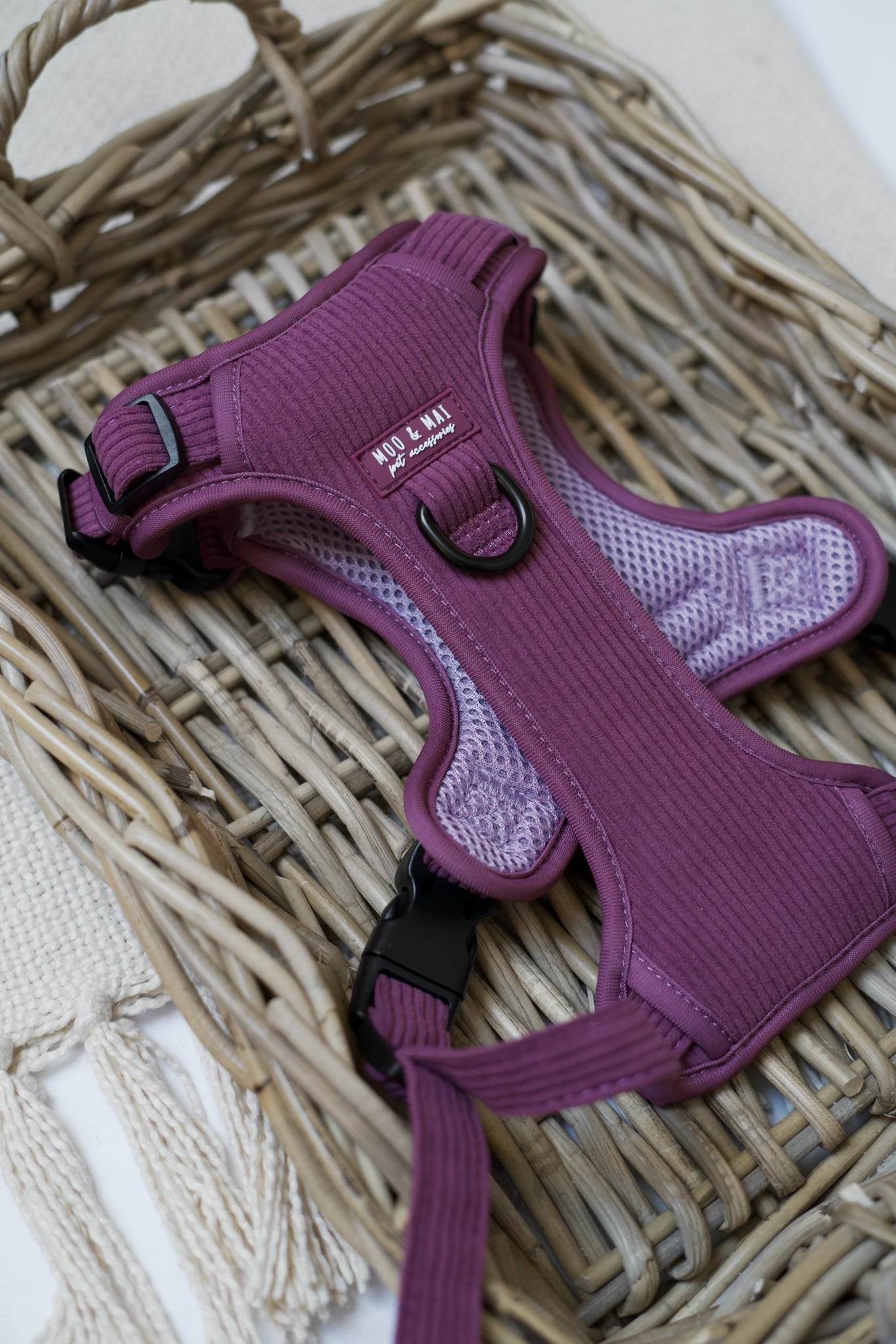 New ‘Frosted Plum’ 3 Click Harness