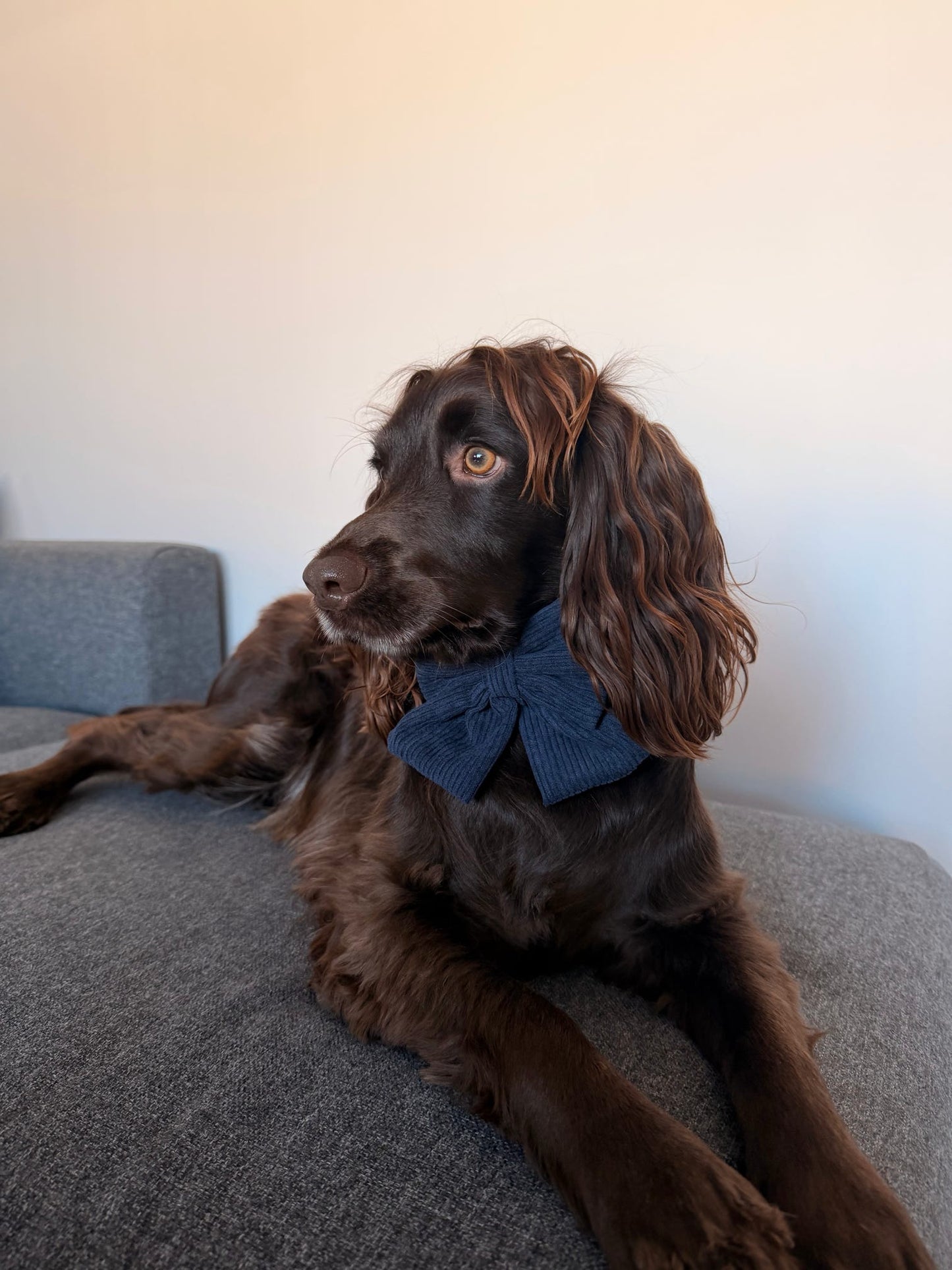 New ‘Navy Noir’ Sailor Bow