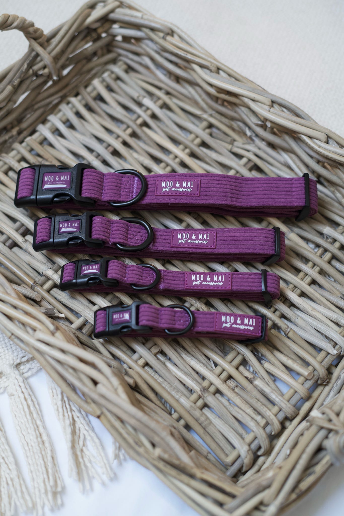 New ‘Frosted Plum’ Collar