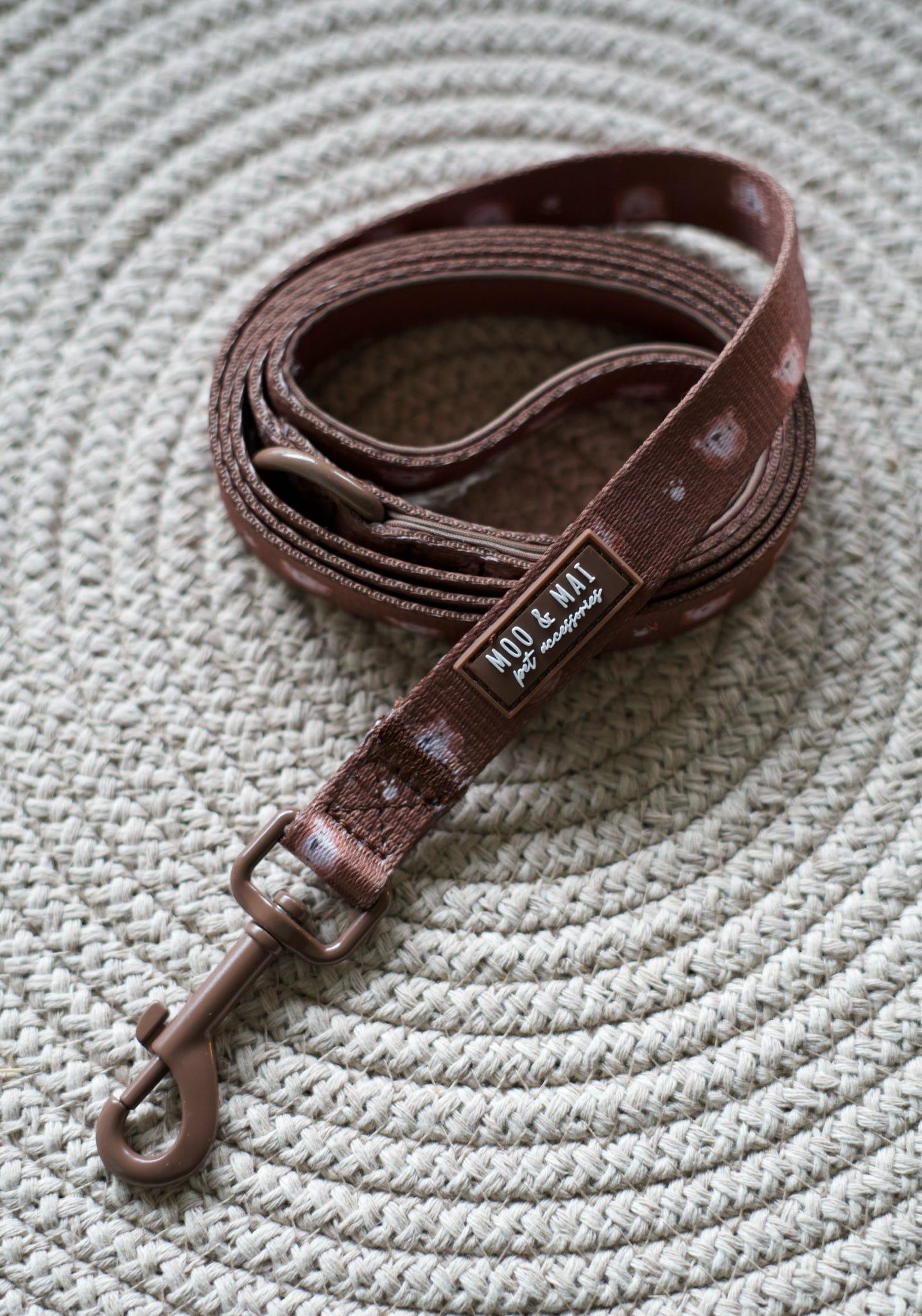 New ‘Beary Cute’ Lead