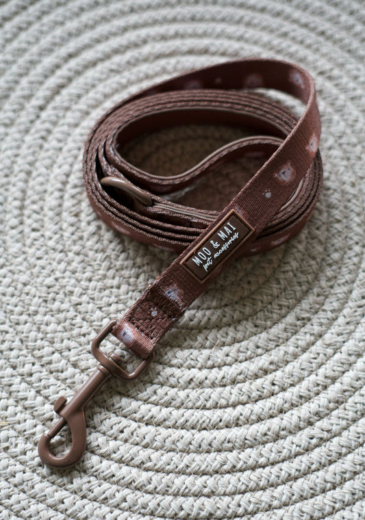 New ‘Beary Cute’ Lead