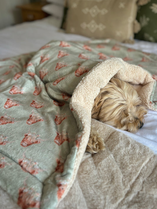 ‘Milo Moo’ Sherpa Blanket