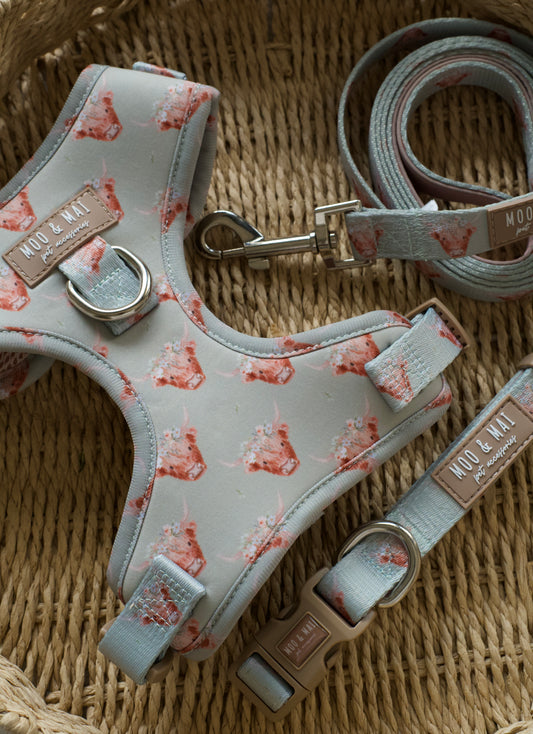 ‘Milo Moo’ 3 Piece Walkies Bundle