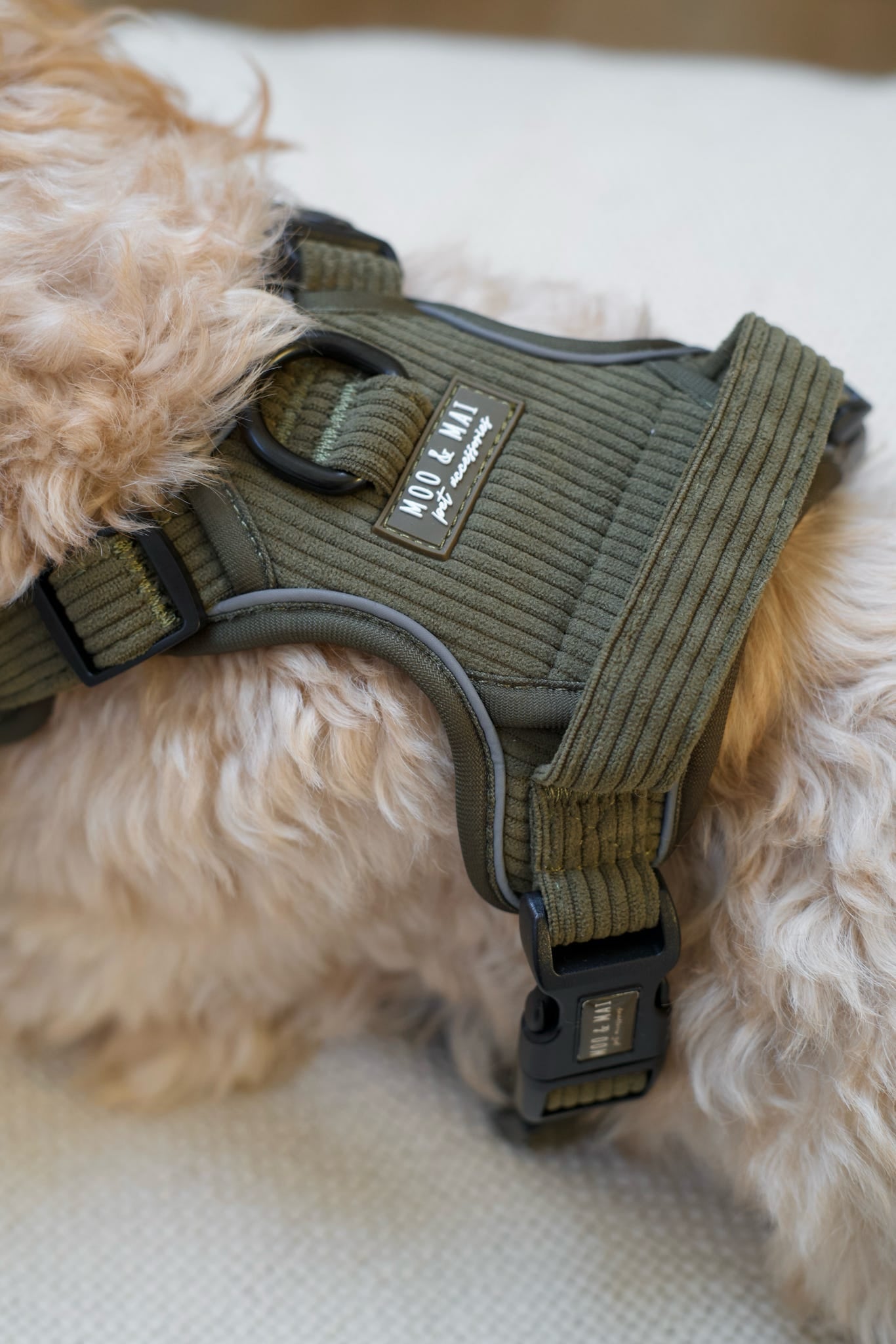 New ‘Olive Branch’ 3 Click Harness