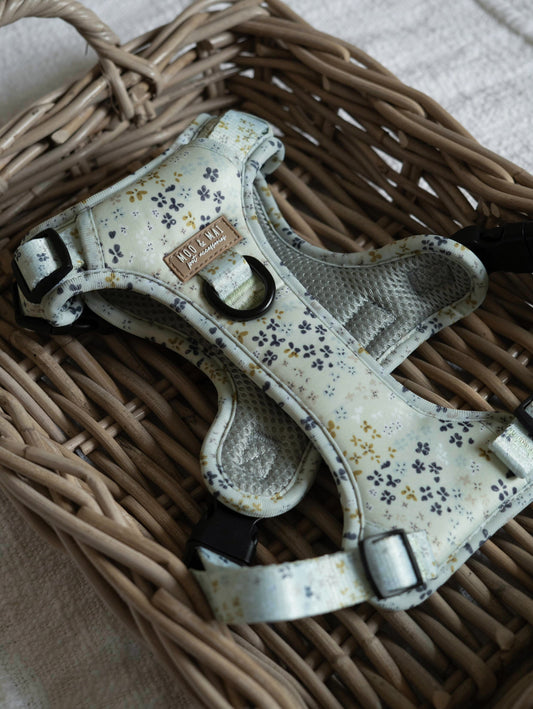 ‘Dusky Daisy’ - 3 Click Harness