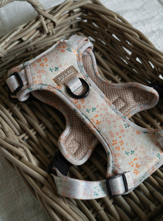 ‘Ditsy Daisy’ 3 Click Harness