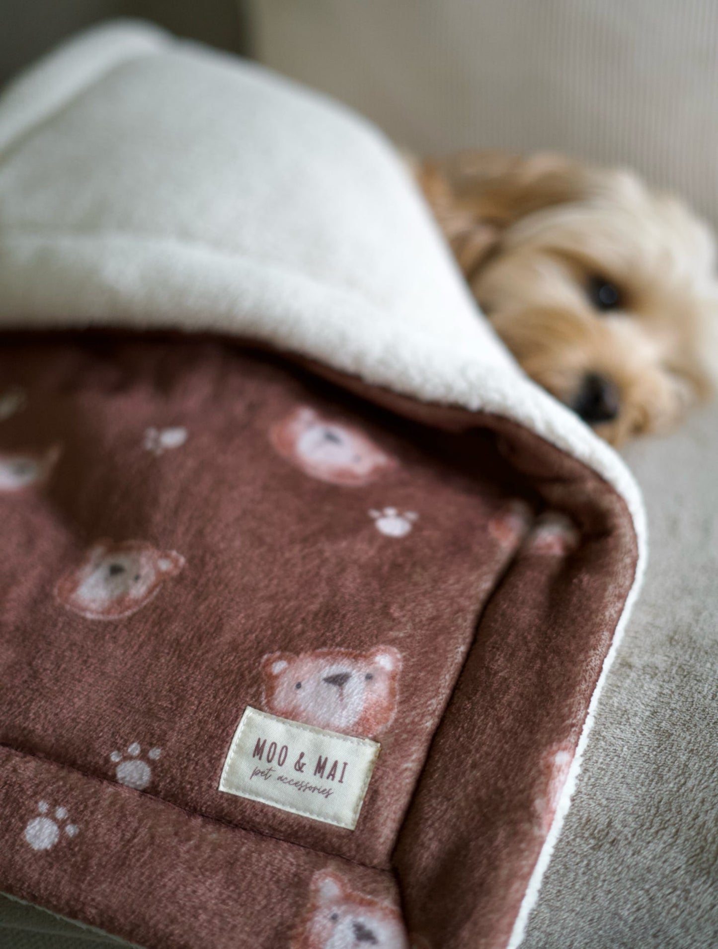 ‘Beary Cute’ Blanket