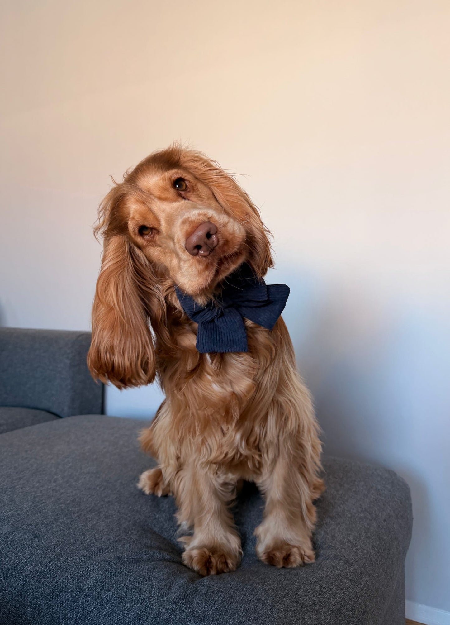 New ‘Navy Noir’ Sailor Bow