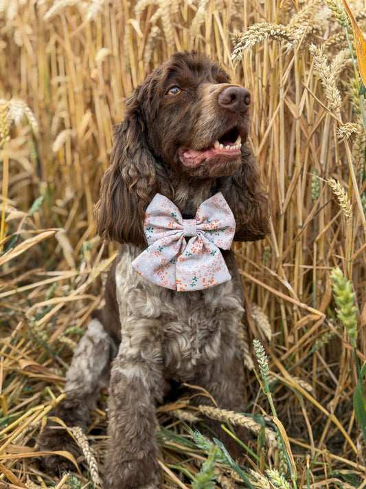 ‘Ditsy Daisy’ - Sailor Bow