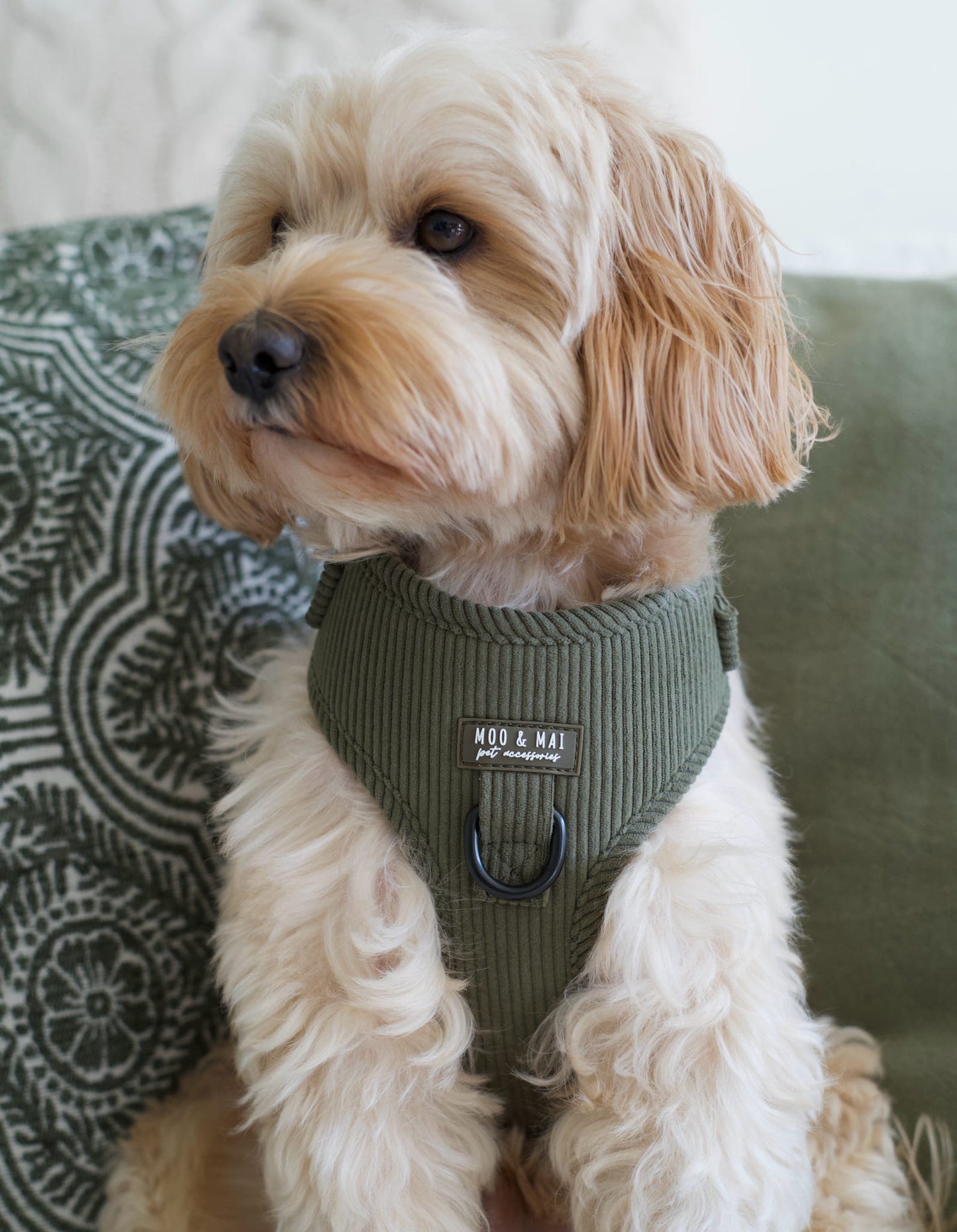 ‘Olive Branch’ Adjustable Harness