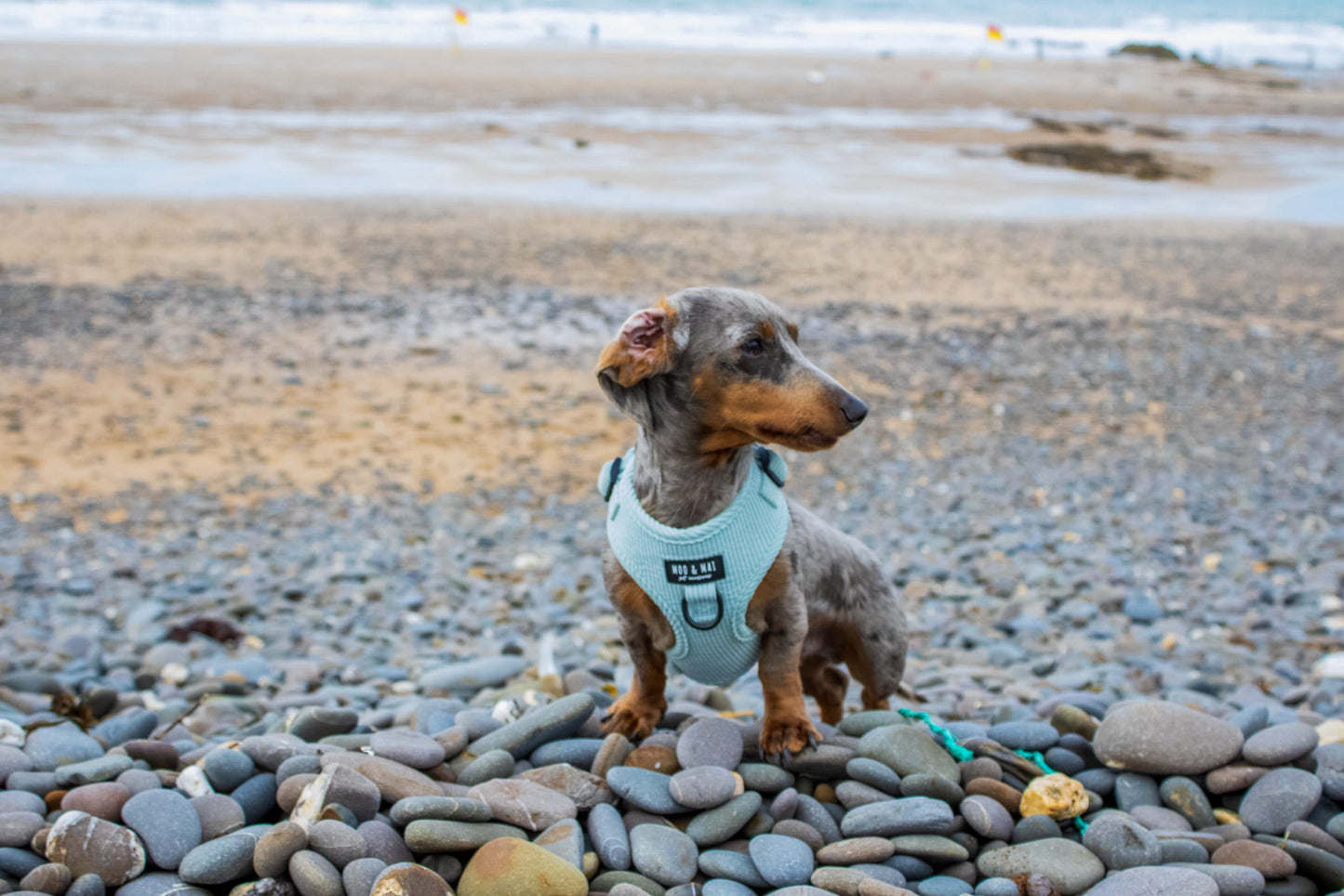 ‘Seafoam Blue’ Adjustable Harness