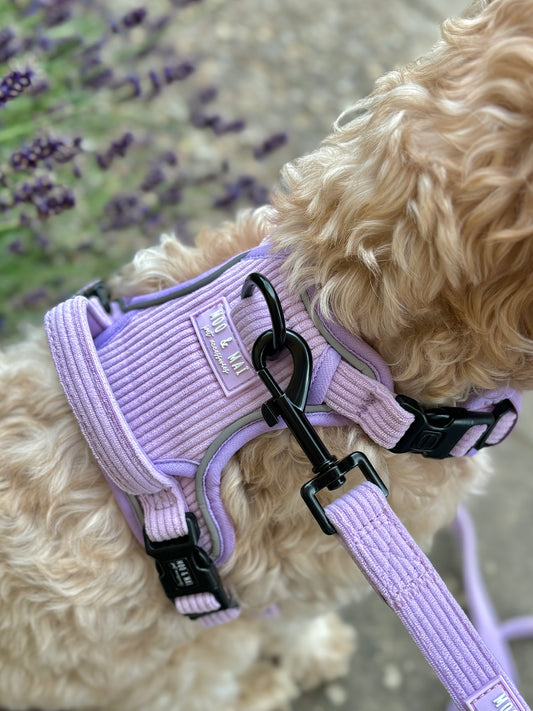 NEW 3 Click Harness - ‘Lavender Daze’