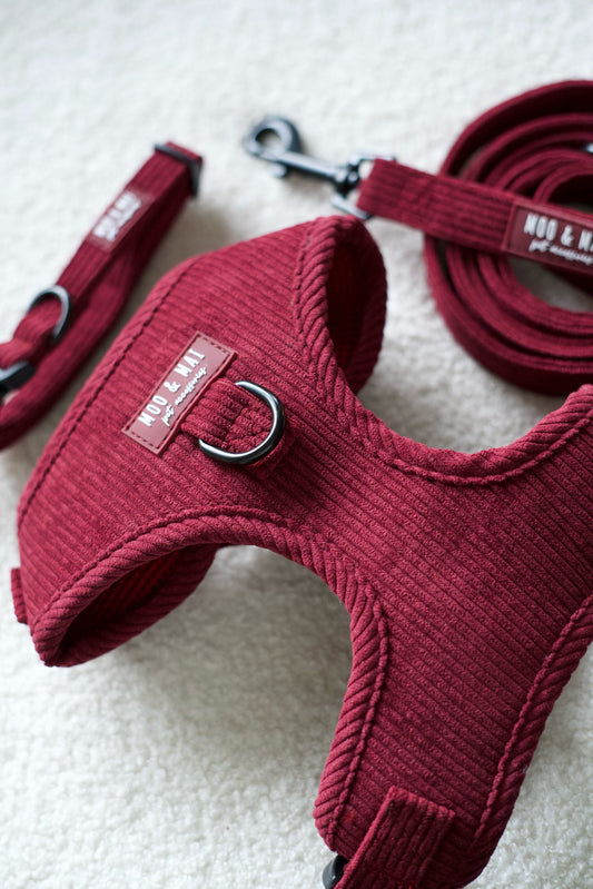‘Berry Bramble’ - 3 Piece Walkies Set