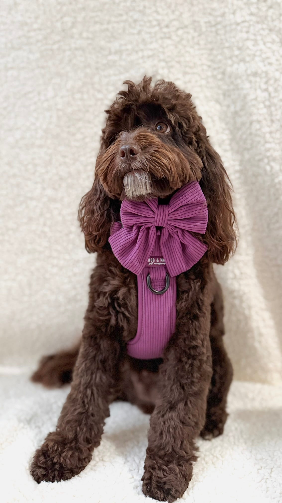 New ‘Frosted Plum’ 3 Click Harness