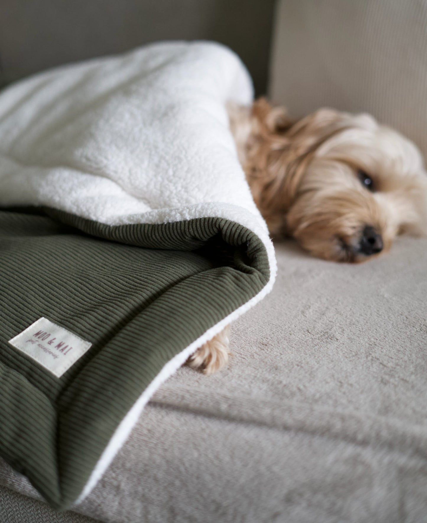 ‘Olive Branch’ Blanket