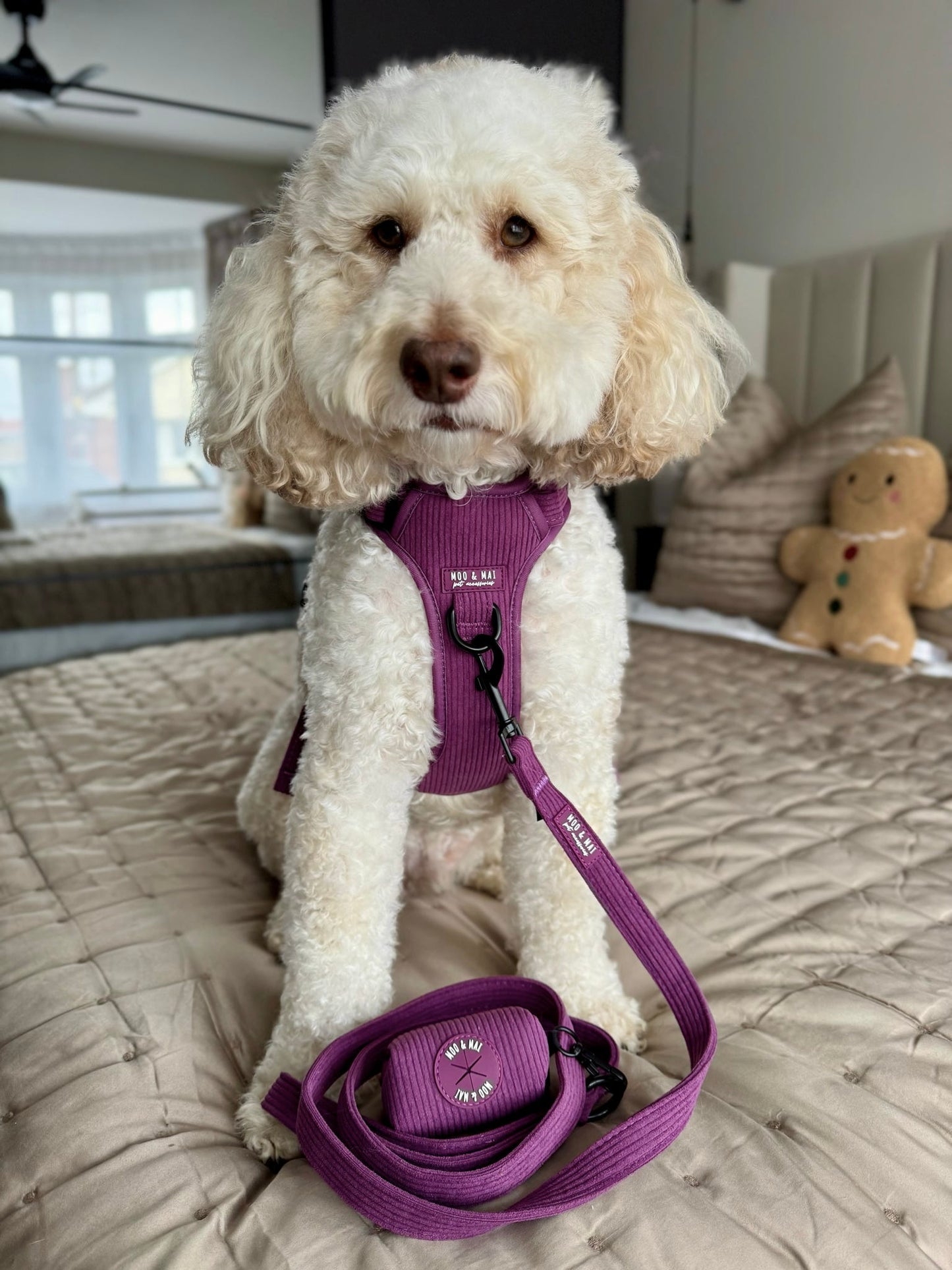 New ‘Frosted Plum’ 3 Click Harness