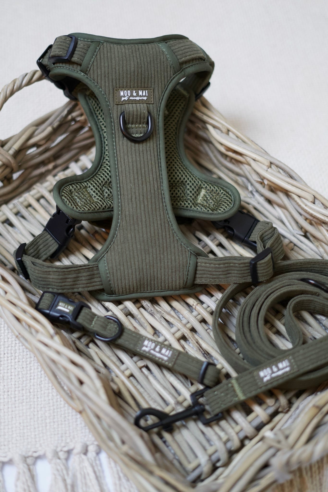 ‘Olive Branch’ 3 Piece Essentials Walkies Bundle