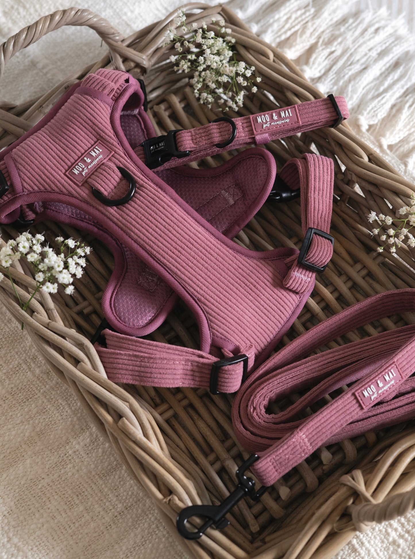 'Raspberry Ripple' - 3 Piece Walkies Bundle