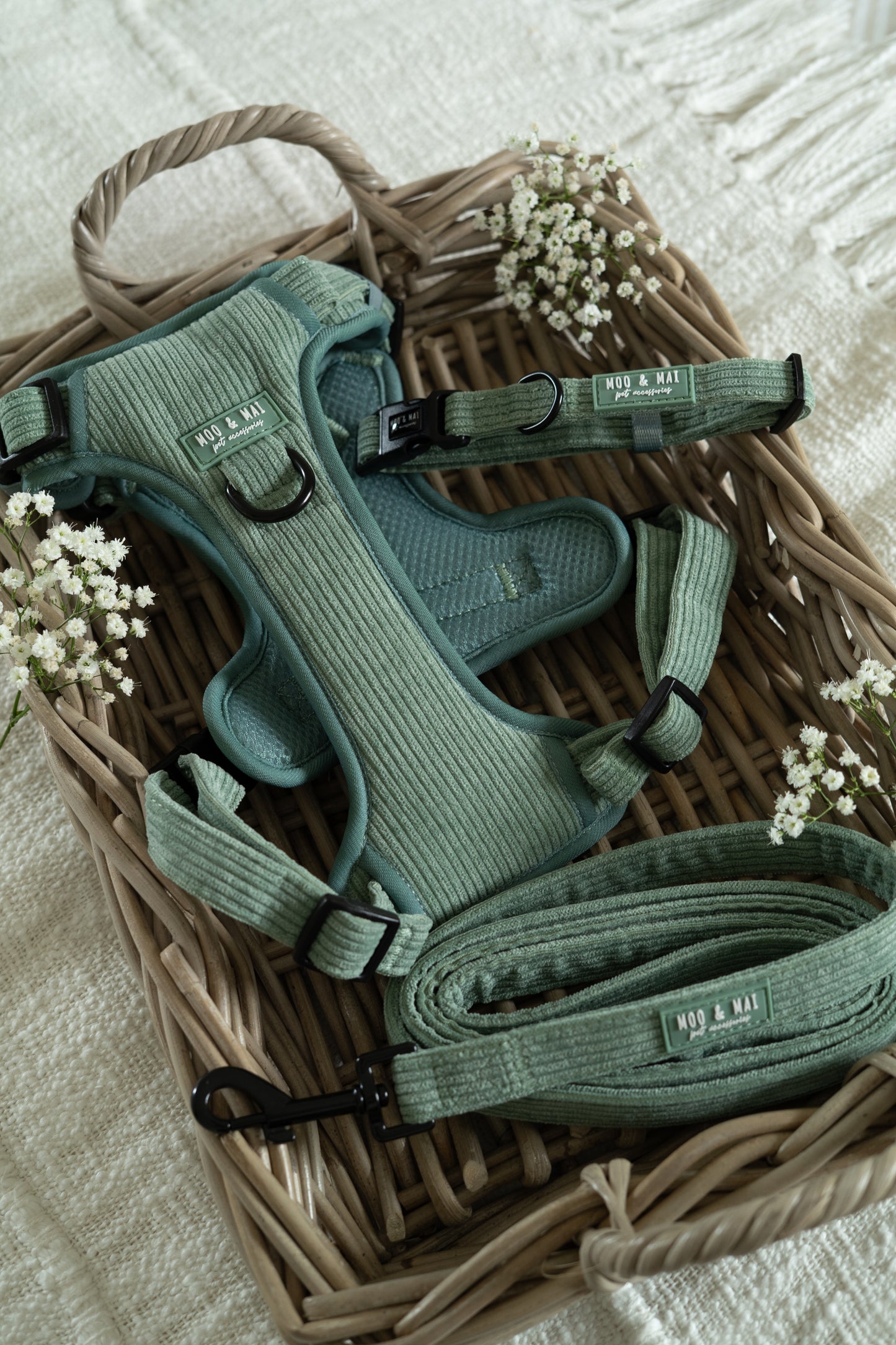 'Peppermint Tides' - 3 Piece Walkies Bundle