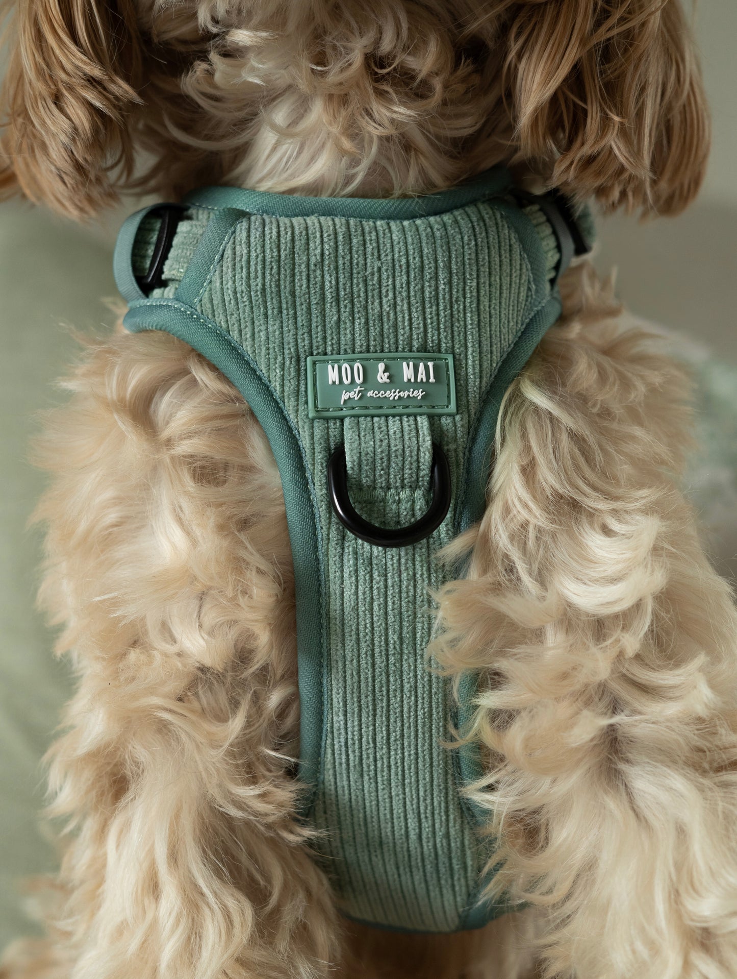 'Peppermint Tides' 3 Click Harness