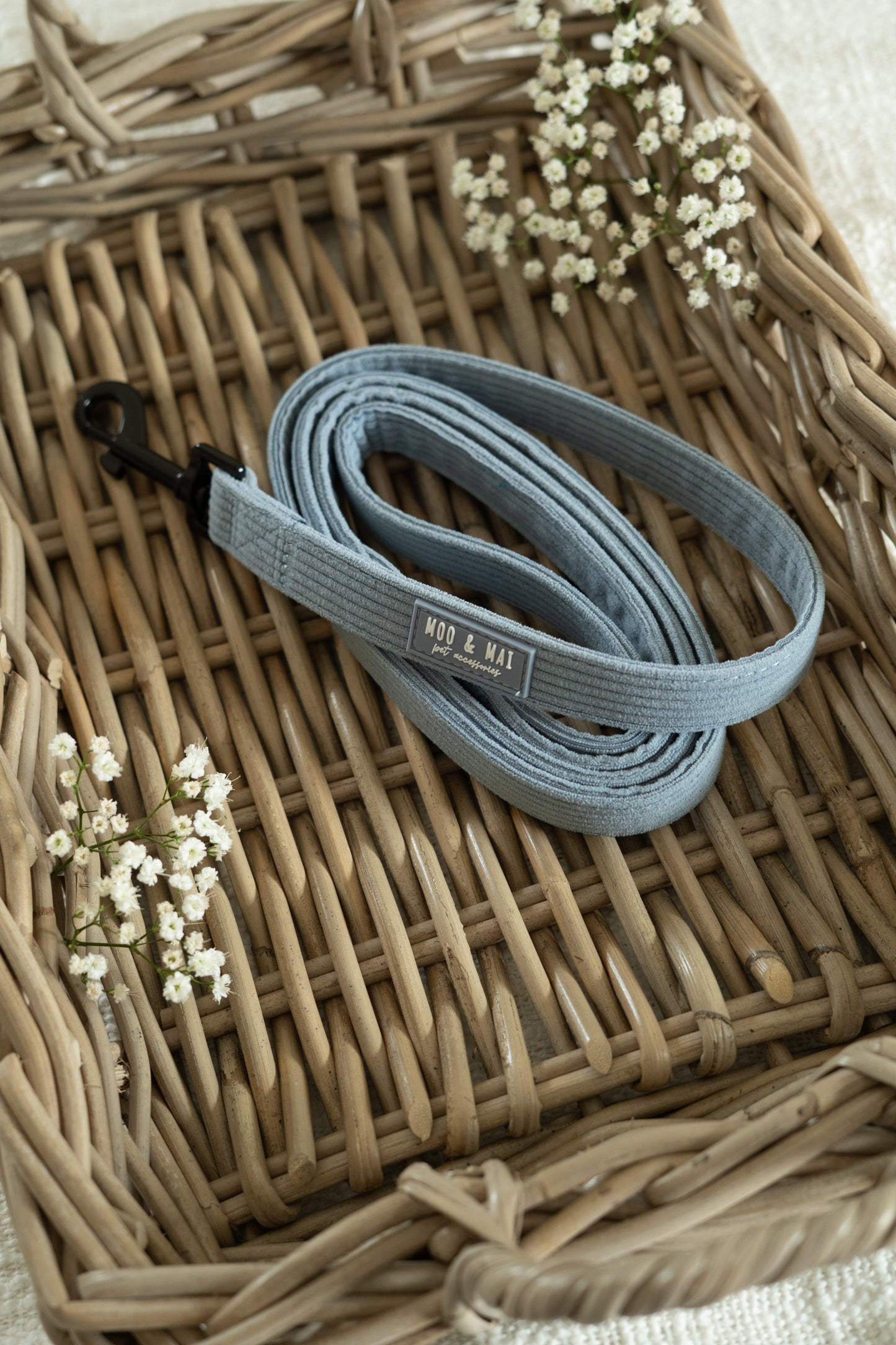 'Seasalt Blue' Lead