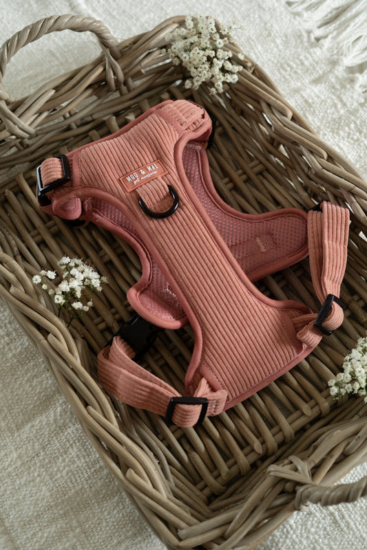 'Coral Cove' 3 Click Harness