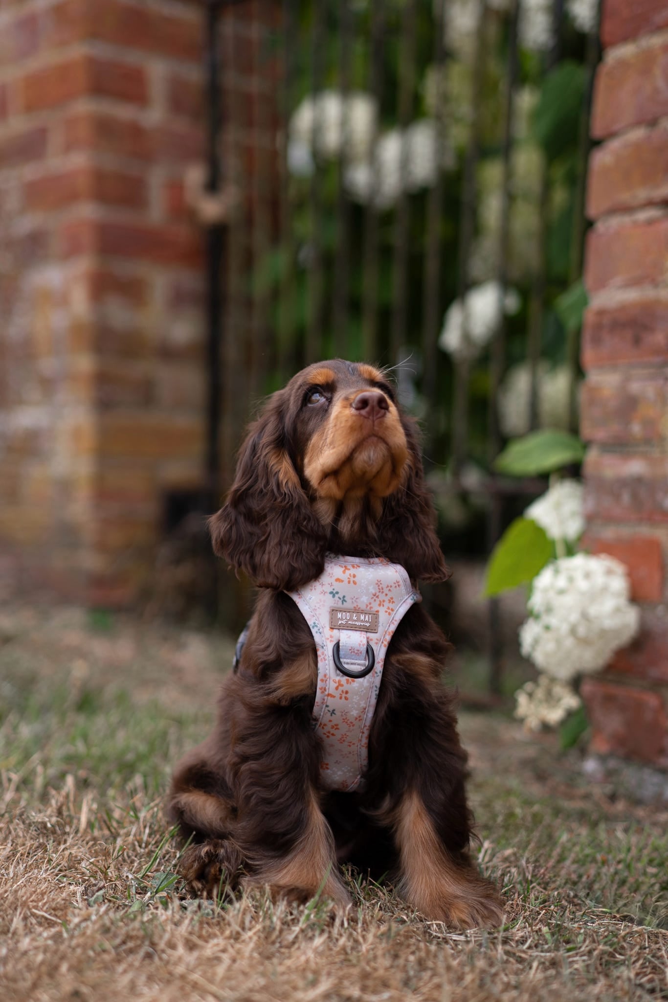 ‘Ditsy Daisy’ - 3 Piece Walkies Bundle