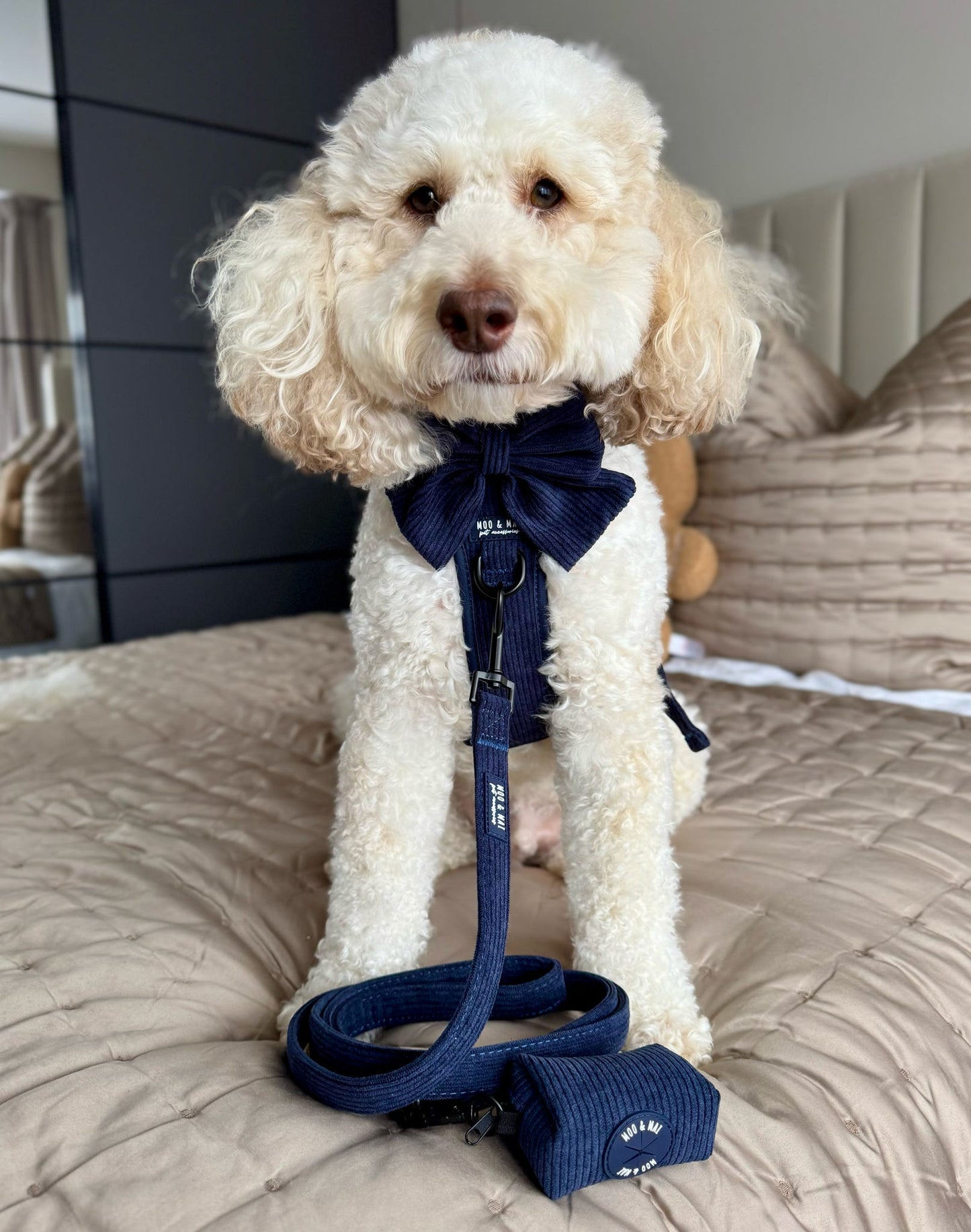 New ‘Navy Noir’ 3 Click Harness