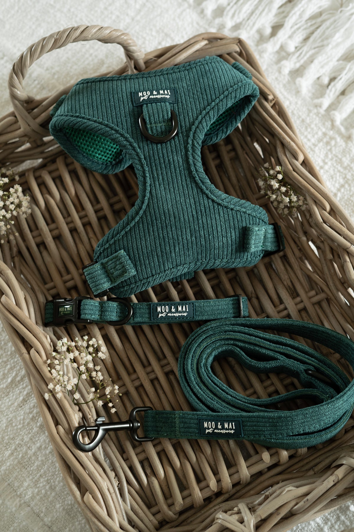 ‘Midnight Moss’ - 3 Piece Walkies Set