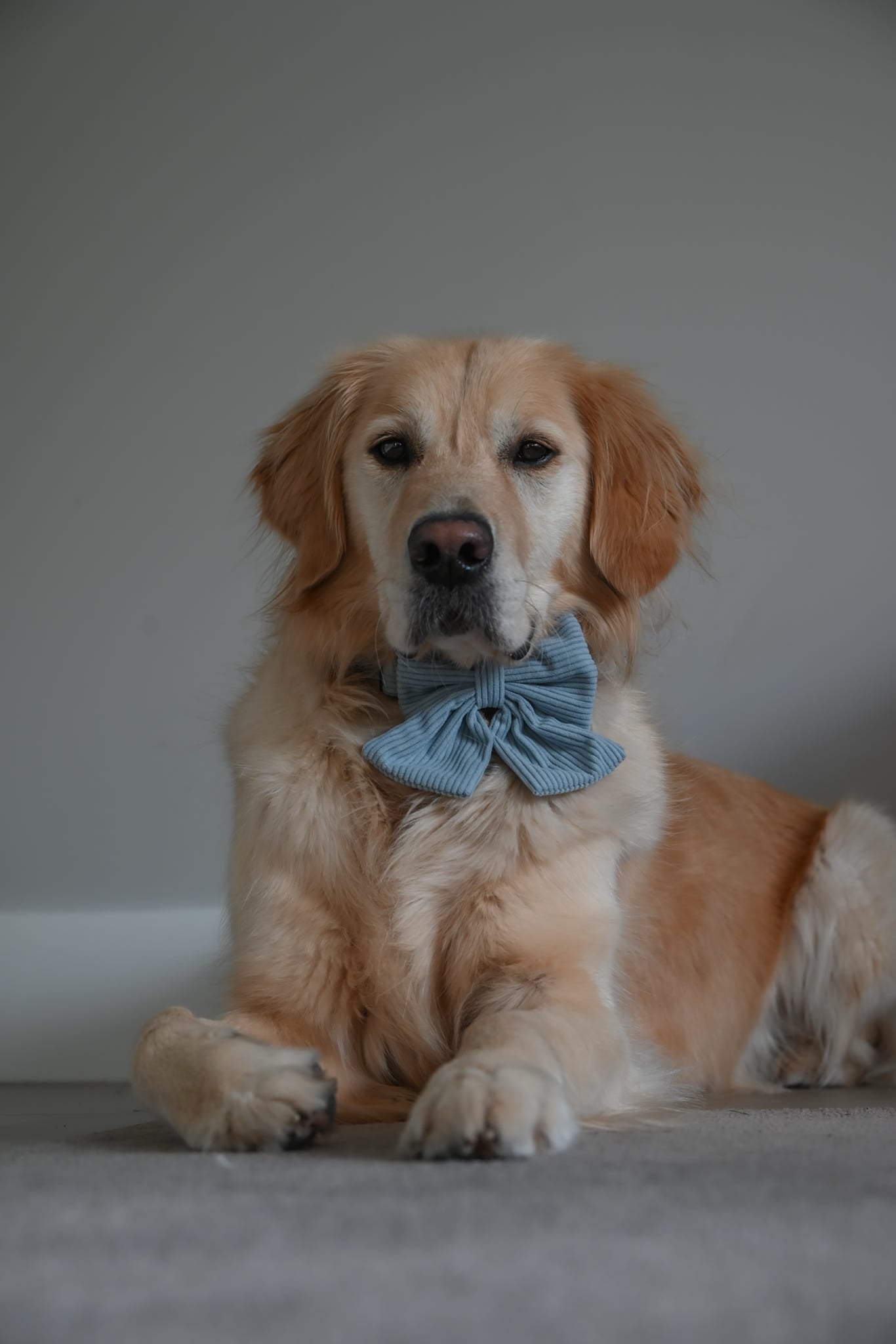 'Seasalt Blue' Sailor Bow