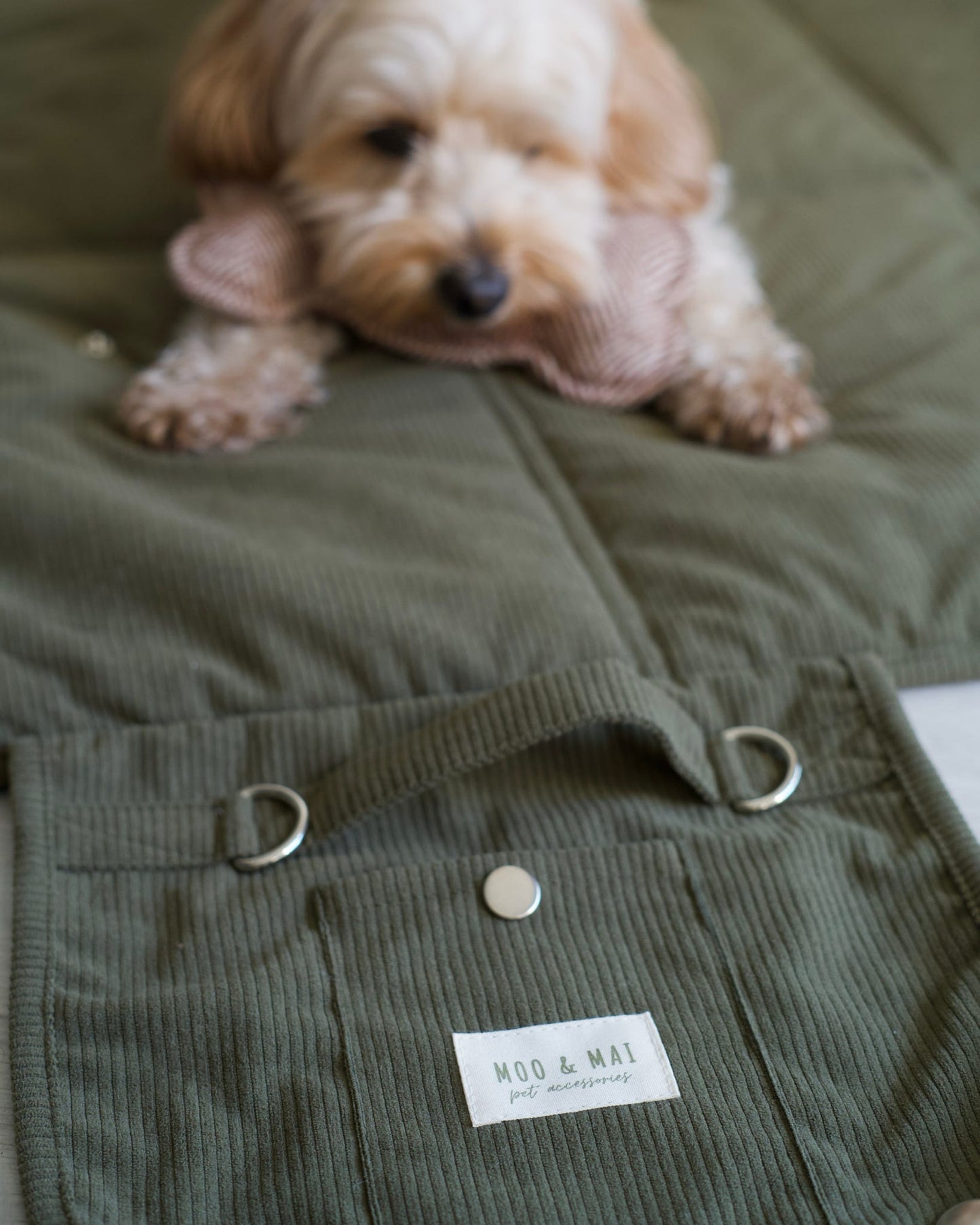 ‘Olive Branch’ Settle / Travel Mat