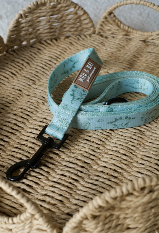 ‘Fossil & Fern’ Lead